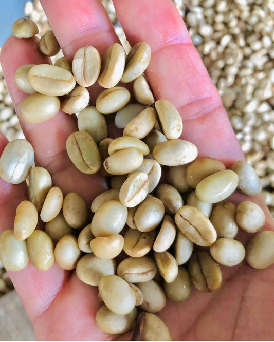 Single-Source Speciality Arabica Green Coffee 4lb
